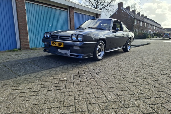 Manta B