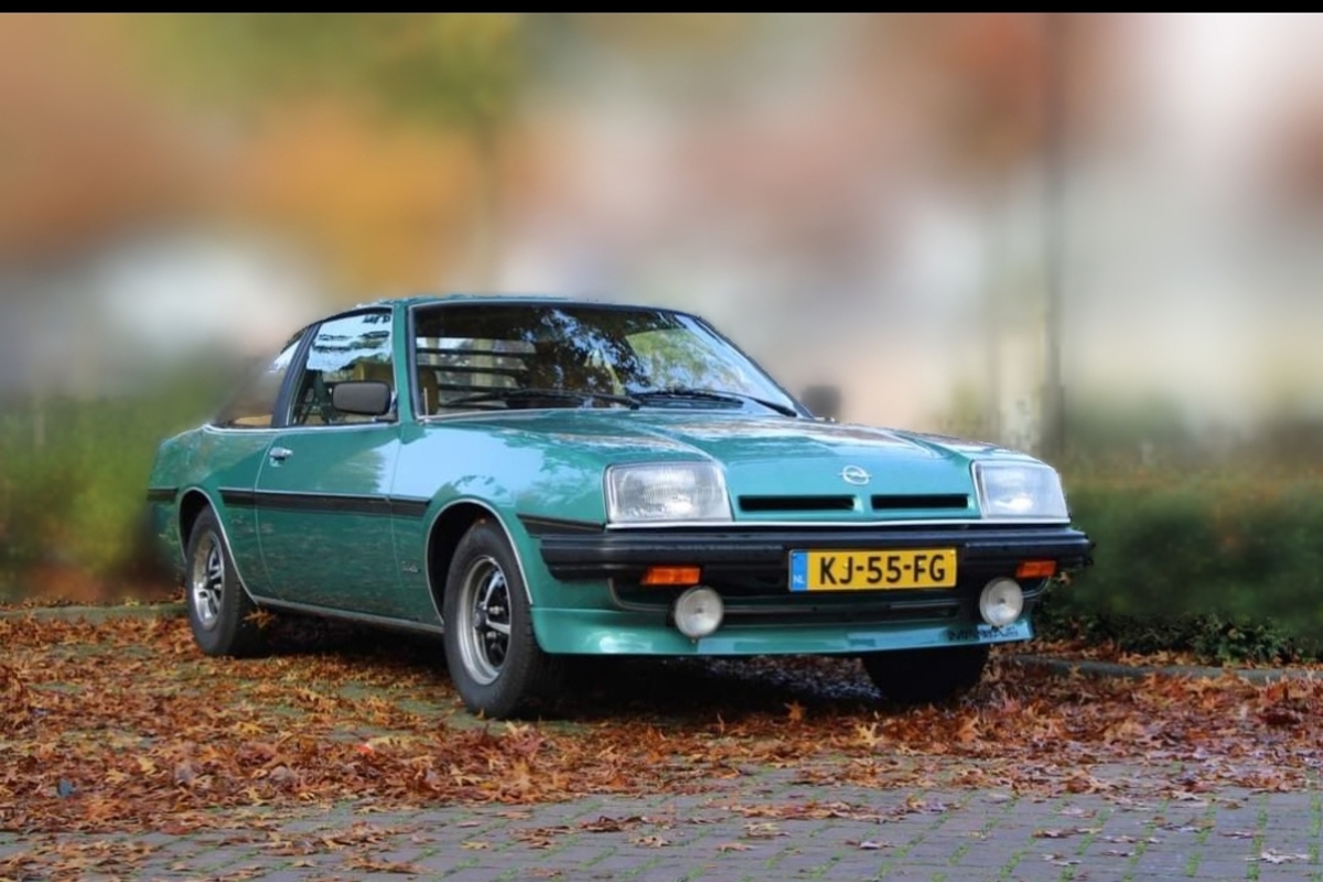 Manta B